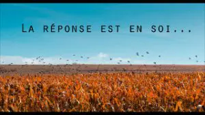 annonce-film-ecolemaudkristen