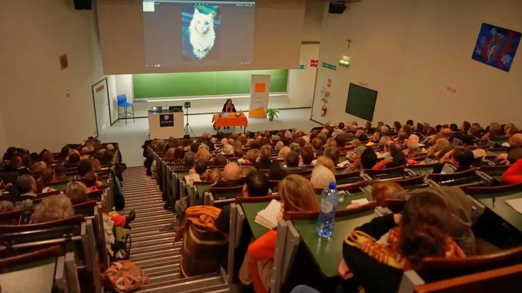 ecole Maud Kristen - conférences