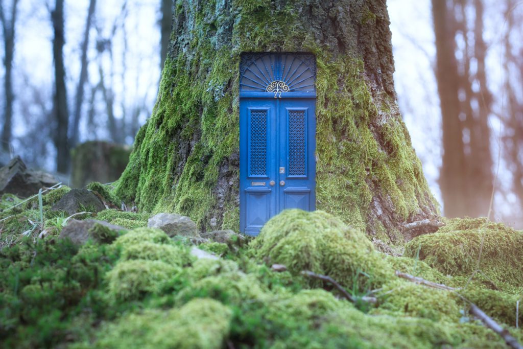fairytale house inside forest tree